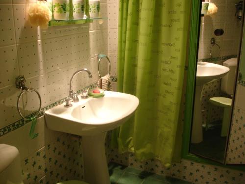 サントマリー・ド・ラメールにあるLes Aigrettes 6のバスルーム(シンク、緑のシャワーカーテン付)