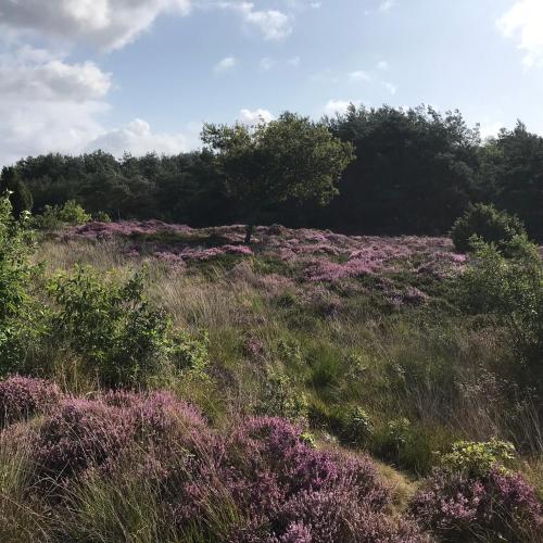 Hoeve Den Anholt – Photos 3