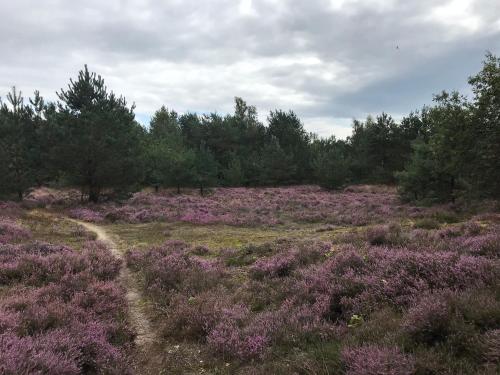 Hoeve Den Anholt – Photos 5