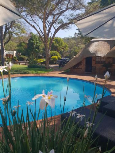 a swimming pool with flowers in front of a house at Haggards on Hilldrop in Newcastle