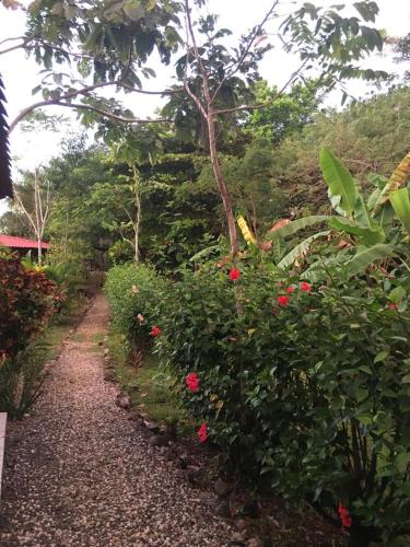 Soul Fire Casitas – Photos 3