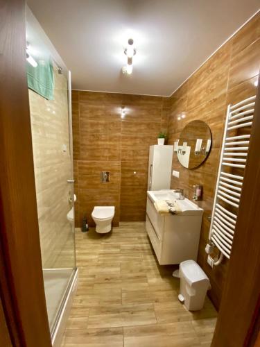 a bathroom with a toilet and a sink and a shower at Nasza Owczarzówka in Międzybrodzie Żywieckie