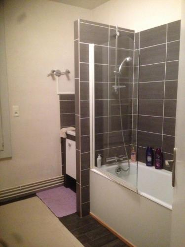une salle de bain avec une douche avec une porte vitrée dans l'établissement L'Ecrin, à Villeneuve-sur-Lot