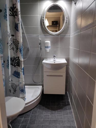 a bathroom with a sink and a toilet and a mirror at Kuerkievari KuerHotel in Äkäslompolo