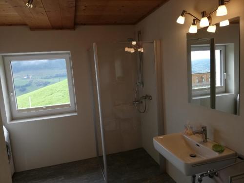 a bathroom with a shower and a sink and a mirror at Aignerbauer Mittersill in Mittersill
