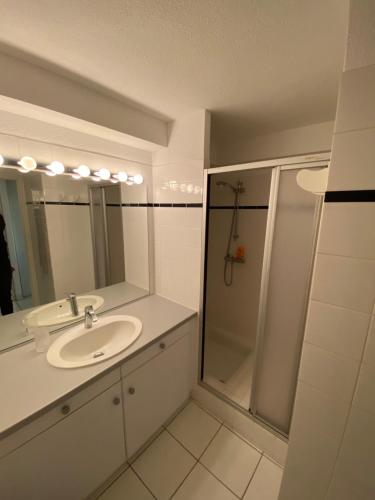 La salle de bains est pourvue d'un lavabo et d'une douche. dans l'établissement Loriot1- Appartement vue mer sur le fort bloqué ploemeur, à Ploemeur