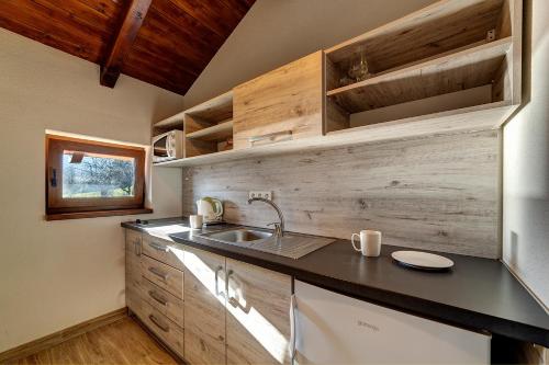 a kitchen with a sink and wooden cabinets at Apartment Lazoň in Pavčina Lehota