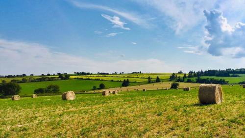 a field full of hay bales in a field at Green Gables Bungalow Court in Cavendish
