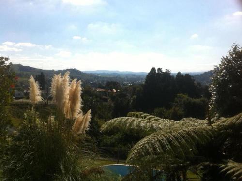 a view of a garden with tall grass and trees at Panorama Motor Inn in Te Kuiti