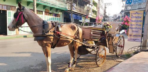 a horse pulling a carriage on a city street at Ban Mae Boonthong in Lampang