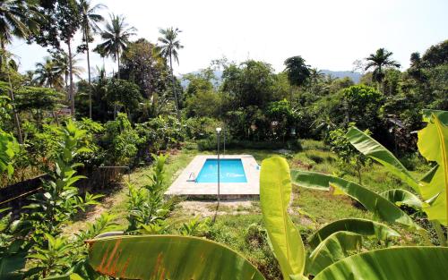 a swimming pool in the middle of a garden at Malee Malee Guesthouse in Ko Lanta
