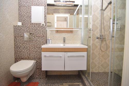 クルスクにあるStudio on Dimitrova 84のバスルーム(トイレ、洗面台、シャワー付)