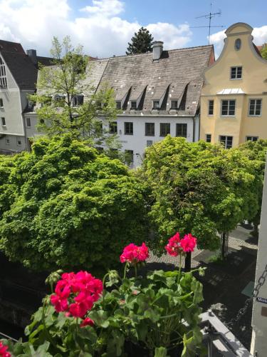 a group of pink flowers in front of a building at #1 AUGSBURG Altstadtjuwel in Augsburg