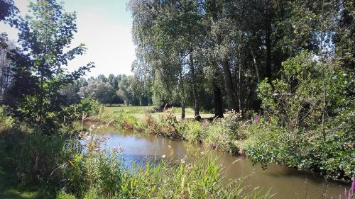 un río en un campo con árboles y hierba en Camping les Charmilles, en Houlle