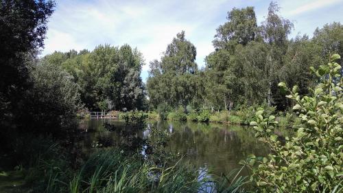 vistas a un río con árboles en el fondo en Camping les Charmilles, en Houlle