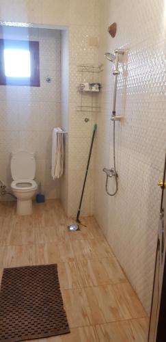 a bathroom with a shower and a toilet with a mop at Habibi Nubian Guest House-Nubian Hospitality in Aswan