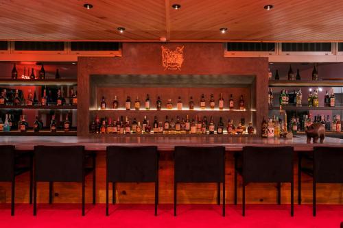 a bar with a lot of bottles of alcohol at Hostel ilfaro Kurume in Kurume