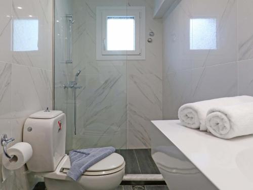 a bathroom with a shower and a toilet and a sink at Angela Beach Apartments in Votsalákia