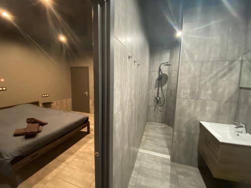 Appartement Studio Tournai في تورناي: حمام به سرير ومغسلة ودش
