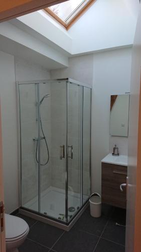 y baño con ducha, aseo y lavamanos. en Domaine du Bel Air en Casson