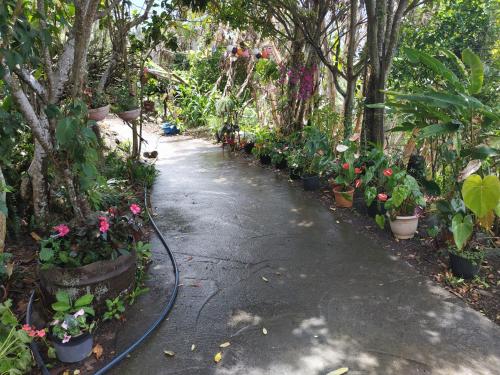 Photo de la galerie de l'établissement KER L'ÎLET, à Cilaos