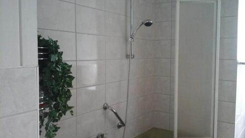 łazienka z prysznicem z głowicą prysznicową w obiekcie Ferienbauernhof w mieście Lügde
