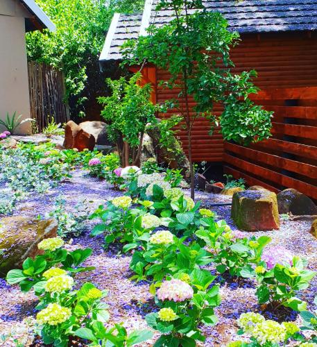 a garden with flowers in front of a house at Haggards on Hilldrop in Newcastle