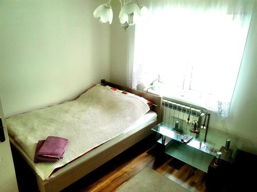 niewielka sypialnia z łóżkiem i oknem w obiekcie AgroJust w Białowieży