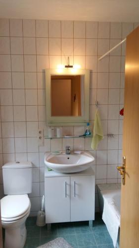W łazience znajduje się umywalka, toaleta i lustro. w obiekcie Ferienwohnung Törpsch w mieście Pirna