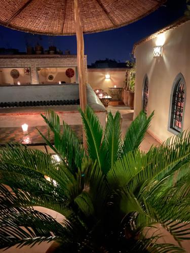 a night view of a house with a palm tree at Riad Hadika Maria in Marrakesh