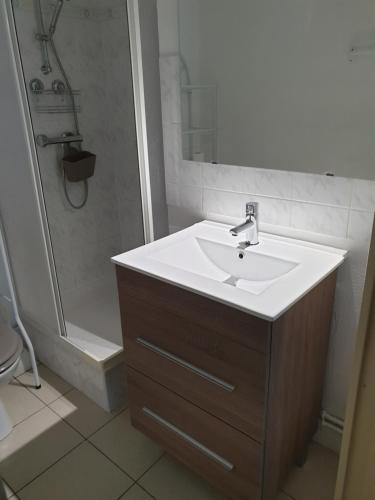a bathroom with a sink and a shower at jolie appartement a cauterets in Cauterets