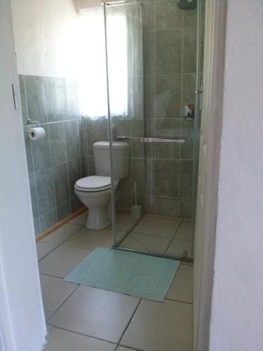 W łazience znajduje się toaleta i przeszklony prysznic. w obiekcie Oppihoek w mieście Harrismith