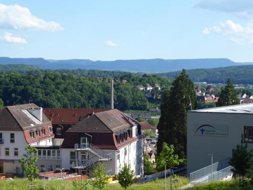 a group of buildings in a city with trees at Doppelzimmer mit Albblick in Tübingen