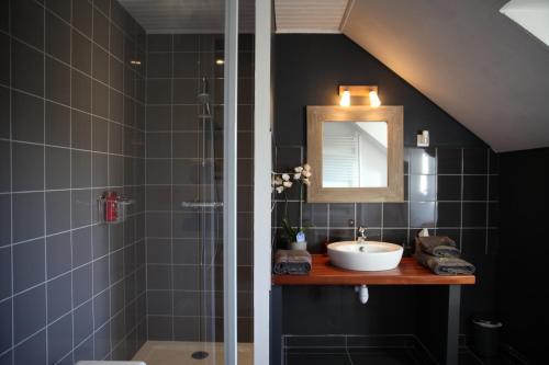 a bathroom with a sink and a shower with a mirror at La Grange Ô Belles in Champfrémont