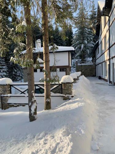 Феєрія Лісу en invierno