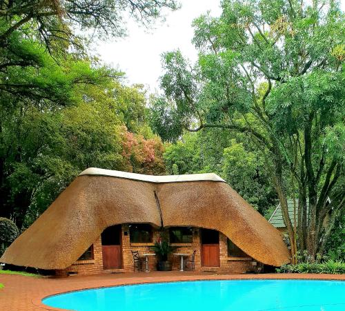 a sculpture of an umbrella over a swimming pool at Haggards on Hilldrop in Newcastle