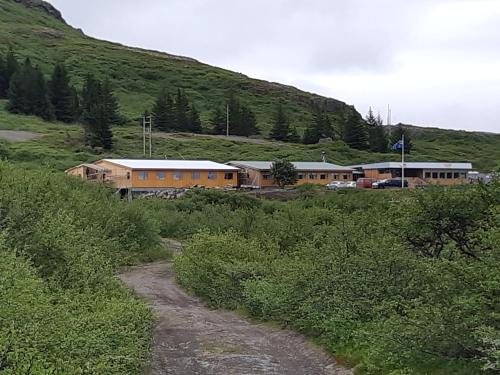 a group of buildings in a field next to a mountain at Hótel Flókalundur in Brjánslækur