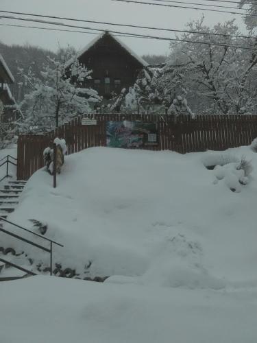 a yard covered in snow with a fire hydrant at Vila Anna in Sovata