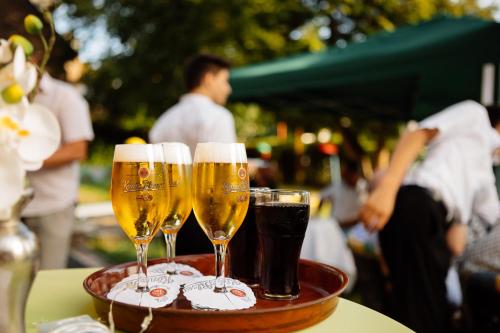 Bebidas en Hotel Buschhausen