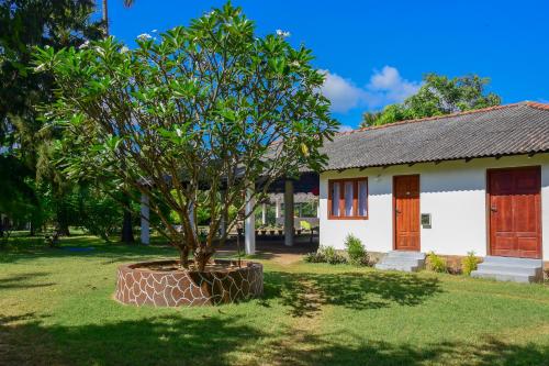 a tree in a pot in front of a house at 108 Palms Beach Resort in Trincomalee