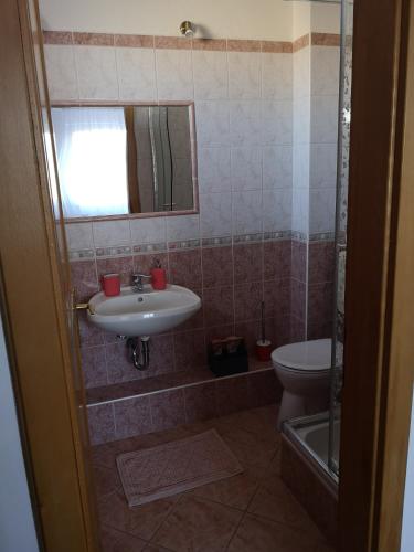 a bathroom with a sink and a toilet and a mirror at Hotello Apartmanház és Panzió in Zalaegerszeg