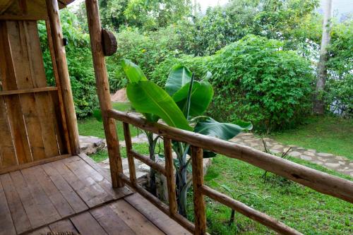 a plant is sitting on a wooden porch at Karungi Camp in Rubuguli