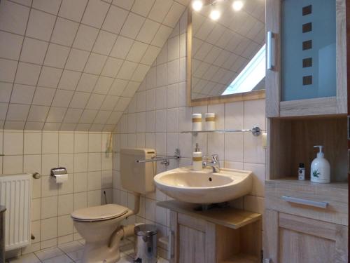ein Badezimmer mit Waschbecken, Toilette und Spiegel in der Unterkunft Meine Ferienwohnung Seeburg 1 in Seeburg