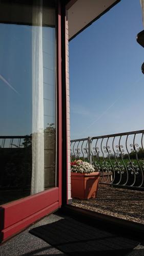 a window with a view of a balcony with plants at Ostseehotel Kappeln by team SchleiFee in Kappeln