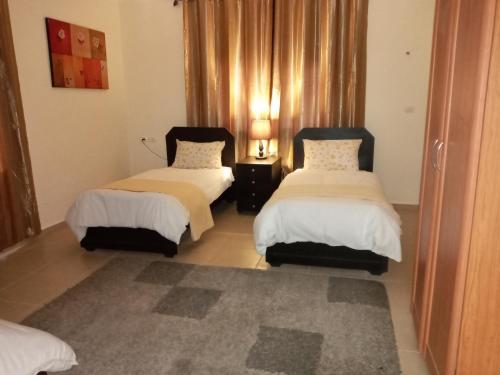 1 Schlafzimmer mit 2 Betten und einem Teppich in der Unterkunft The Plaza Apartment - Bethlehem in Bethlehem