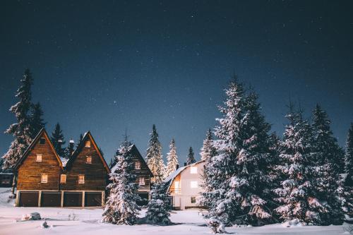a group of trees covered in snow in front of a cabin at Vikendica Eden in Vlasic