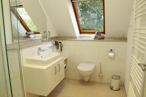 a bathroom with a toilet and a sink and a window at Villa am Deich in Westerdeichstrich