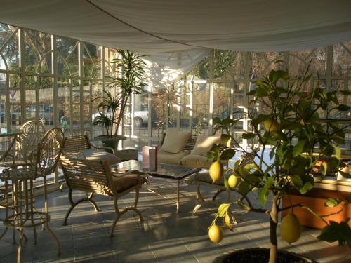 a conservatory with a table and chairs and plants at Hotel Montecarlo in Castellanza