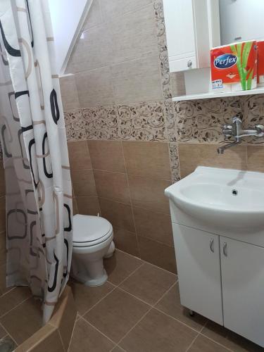 a bathroom with a toilet and a sink at Mountain House Tara Apartmani Nikolic in Kaludjerske Bare