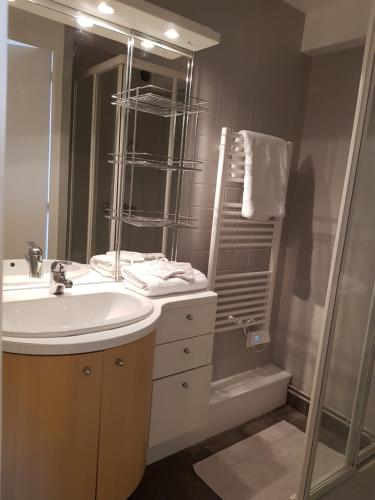 La salle de bains est pourvue d'un lavabo et d'une douche. dans l'établissement Le P'tit gousset, à Donville-les-Bains
